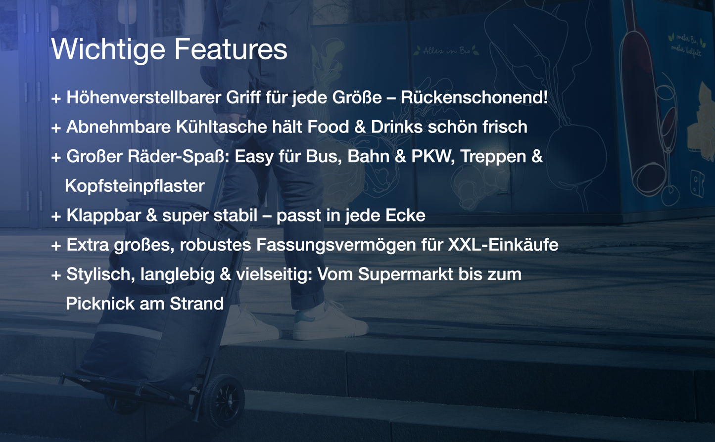 SUN-M - Trolley Einkaufstrolley groß inkl. abnehmbare Kühltasche I Einkaufstasche mit Rollen für bequemes Einkaufen I Einkaufswagen mit schnellem Zugriff auf alle Fächer I Shopping trolley